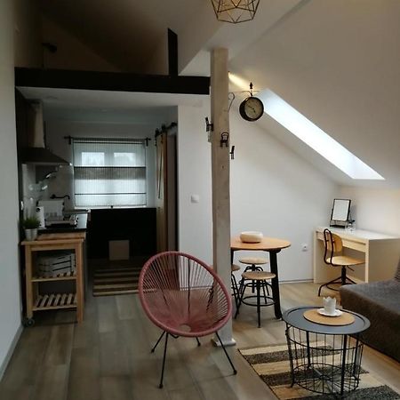 Studio Apartman Hana Leilighet Drežnik Grad Eksteriør bilde