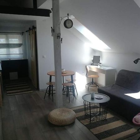 Studio Apartman Hana Leilighet Drežnik Grad Eksteriør bilde