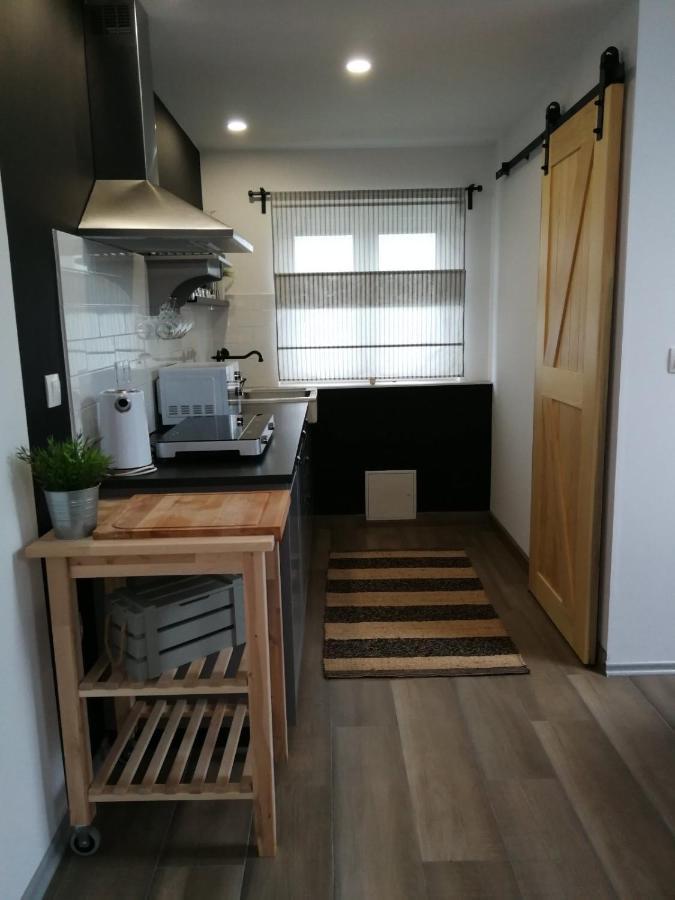Studio Apartman Hana Leilighet Drežnik Grad Eksteriør bilde