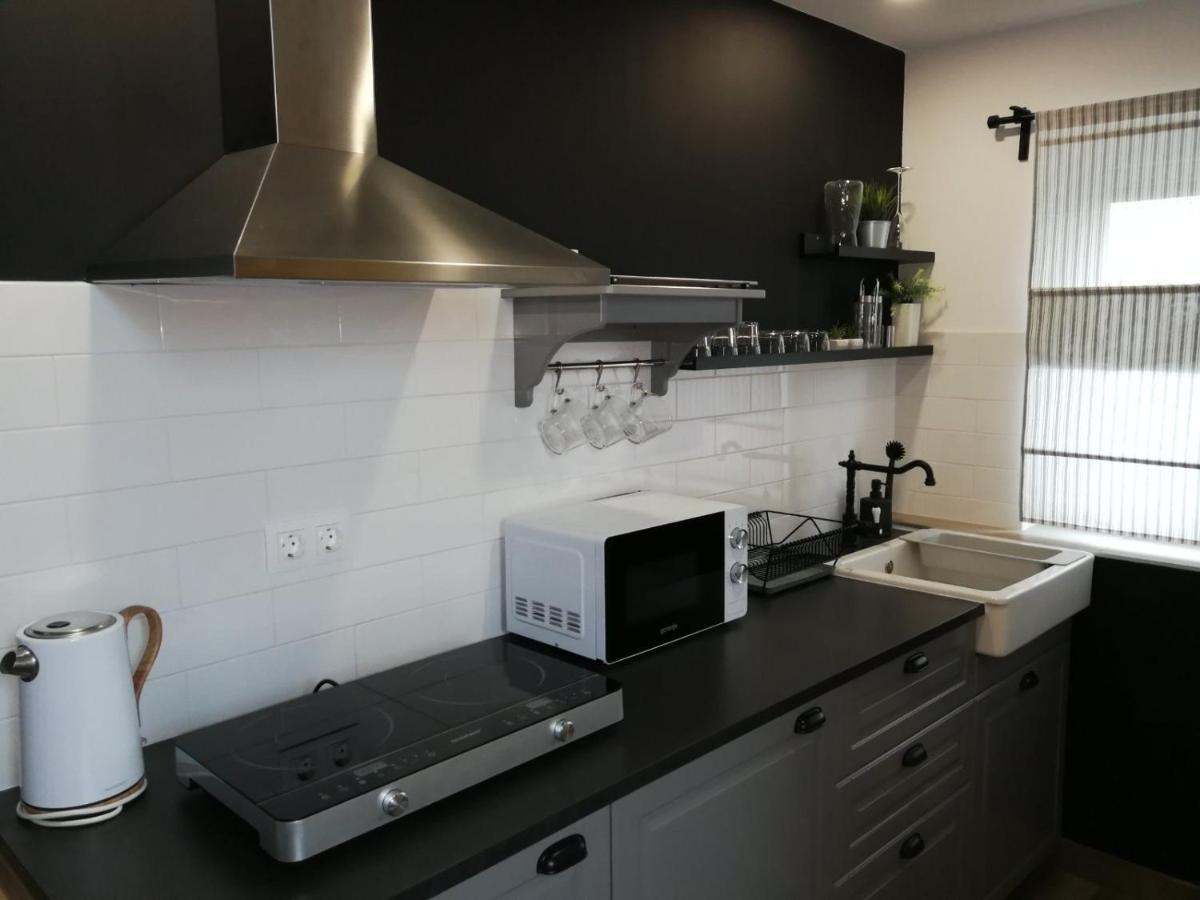 Studio Apartman Hana Leilighet Drežnik Grad Eksteriør bilde