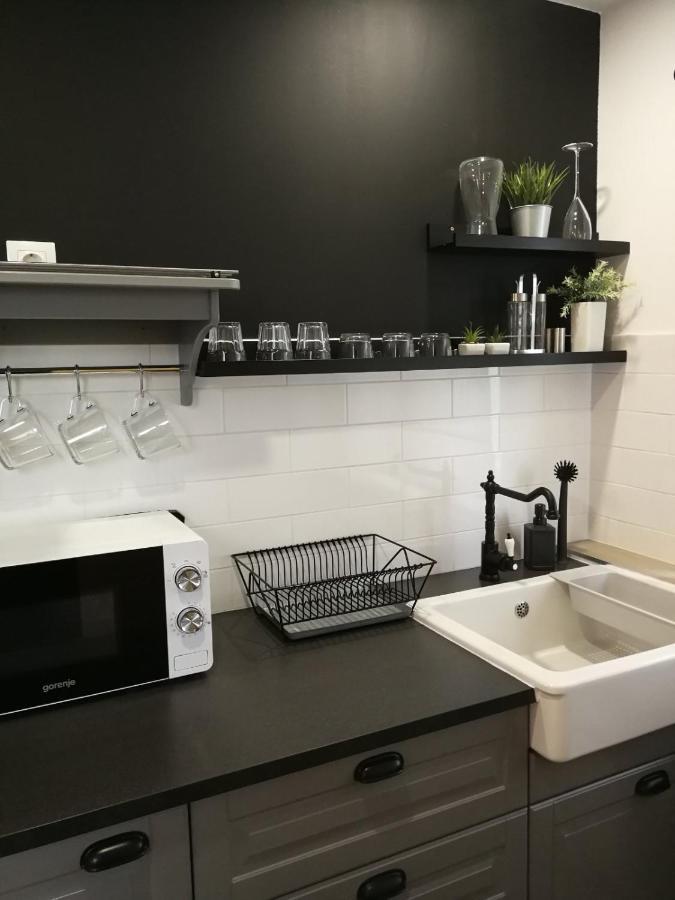 Studio Apartman Hana Leilighet Drežnik Grad Eksteriør bilde