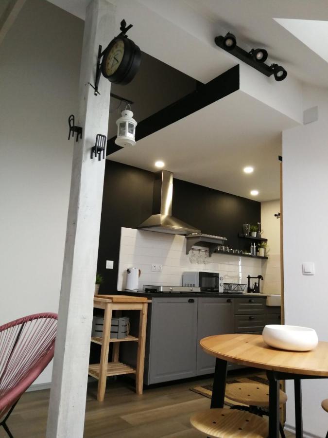 Studio Apartman Hana Leilighet Drežnik Grad Eksteriør bilde