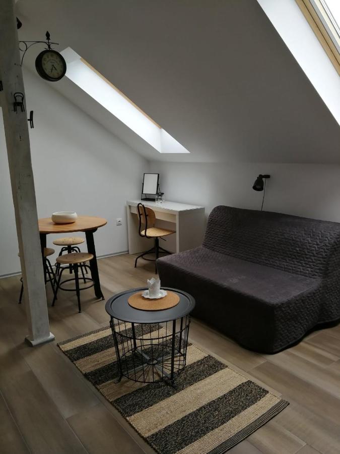 Studio Apartman Hana Leilighet Drežnik Grad Eksteriør bilde