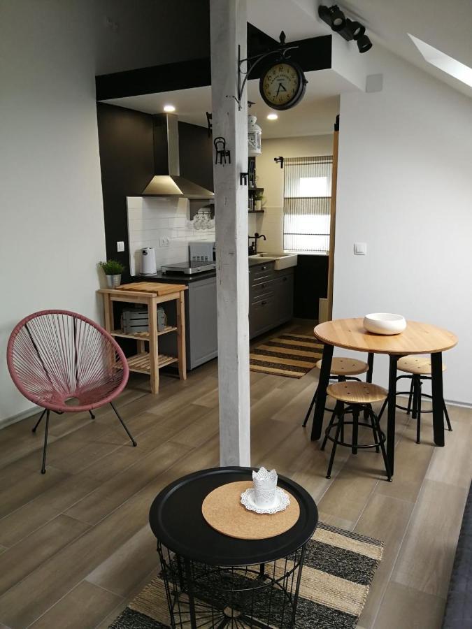 Studio Apartman Hana Leilighet Drežnik Grad Eksteriør bilde