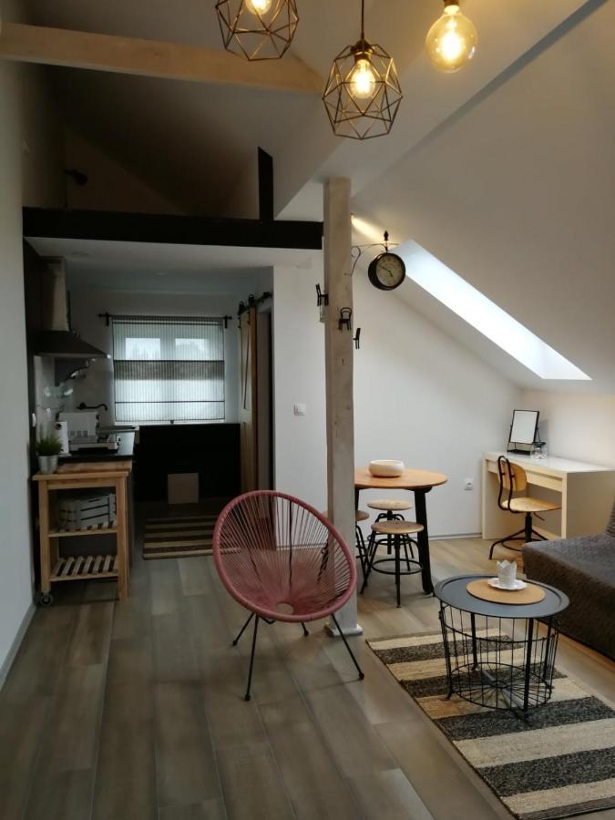Studio Apartman Hana Leilighet Drežnik Grad Eksteriør bilde