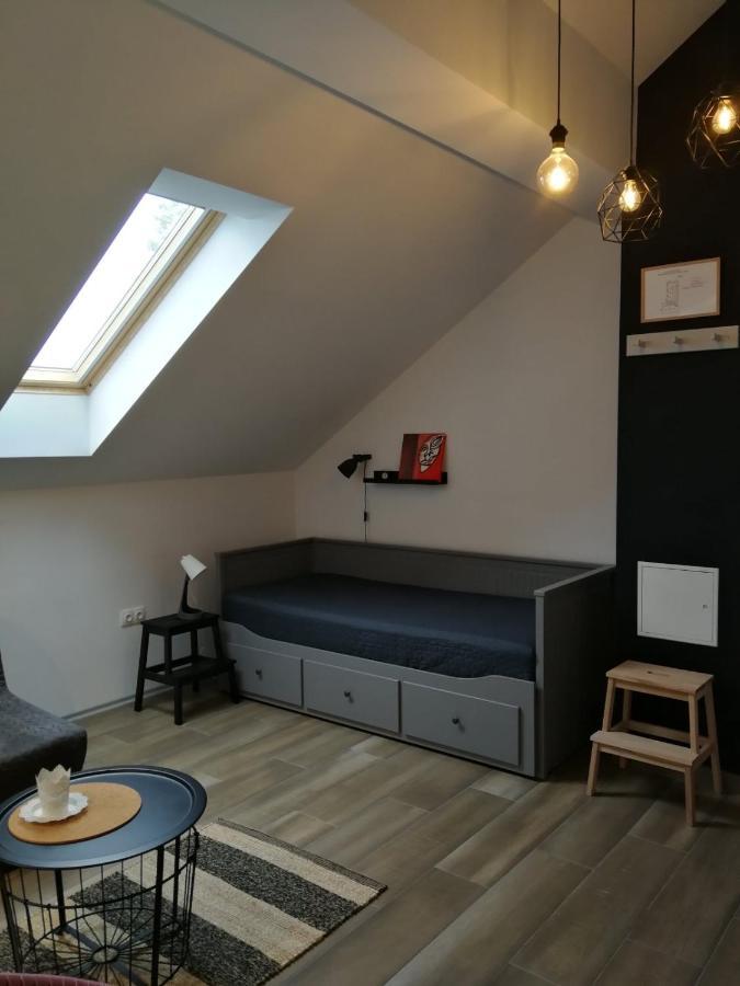 Studio Apartman Hana Leilighet Drežnik Grad Eksteriør bilde