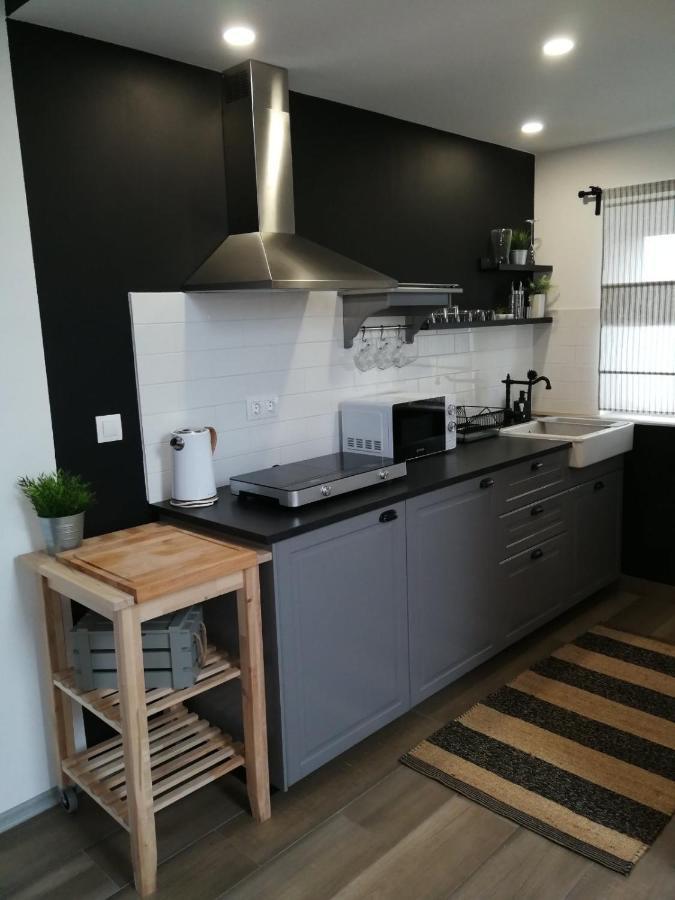 Studio Apartman Hana Leilighet Drežnik Grad Eksteriør bilde