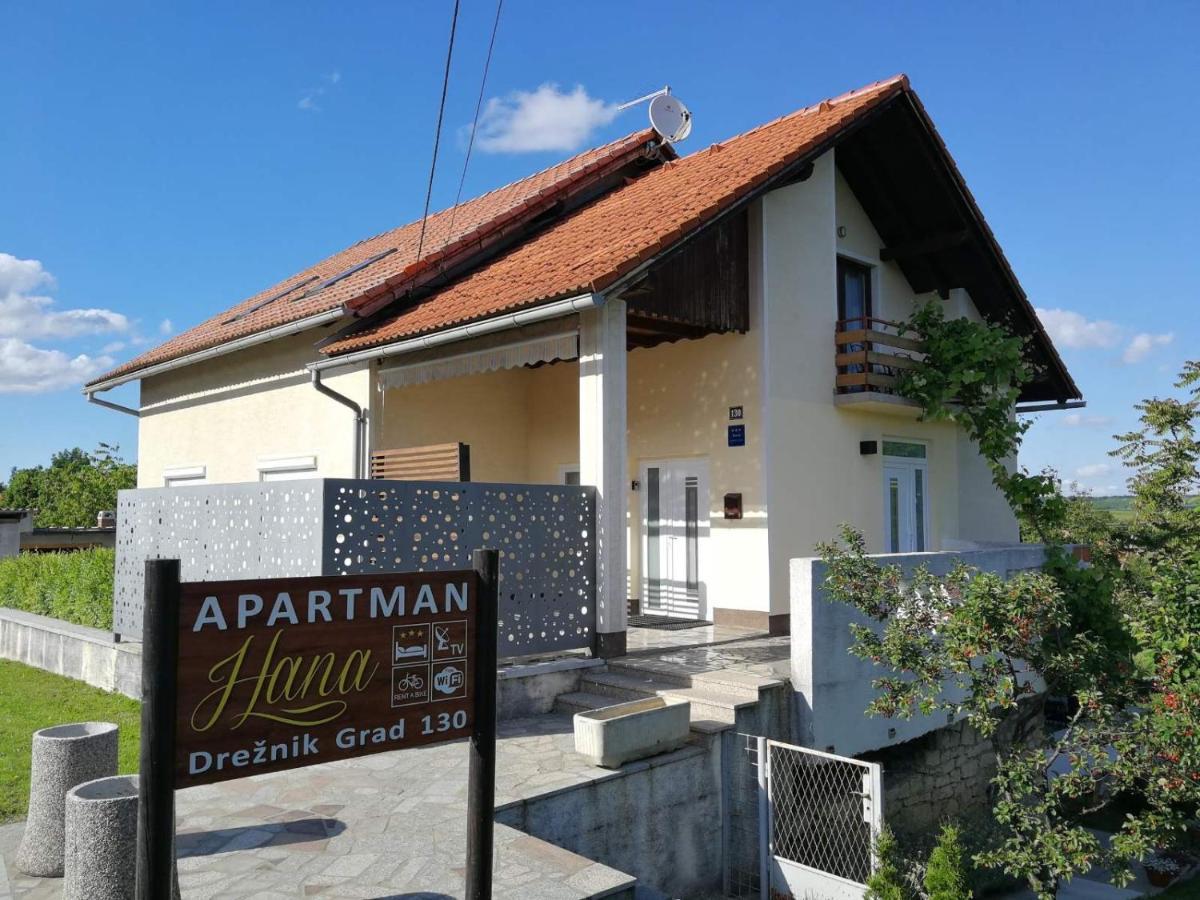 Studio Apartman Hana Leilighet Drežnik Grad Eksteriør bilde