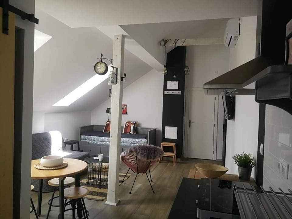 Studio Apartman Hana Leilighet Drežnik Grad Eksteriør bilde