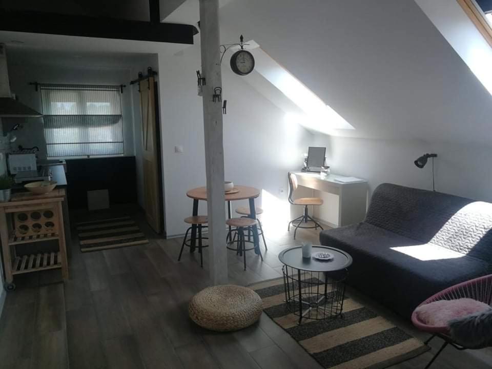 Studio Apartman Hana Leilighet Drežnik Grad Eksteriør bilde