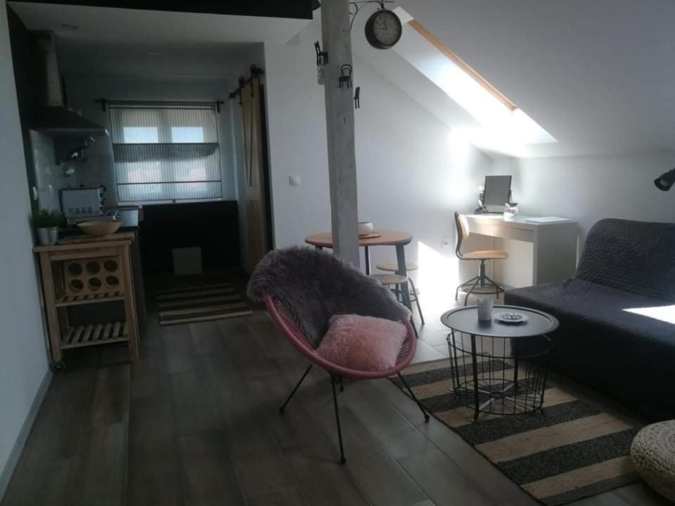 Studio Apartman Hana Leilighet Drežnik Grad Eksteriør bilde