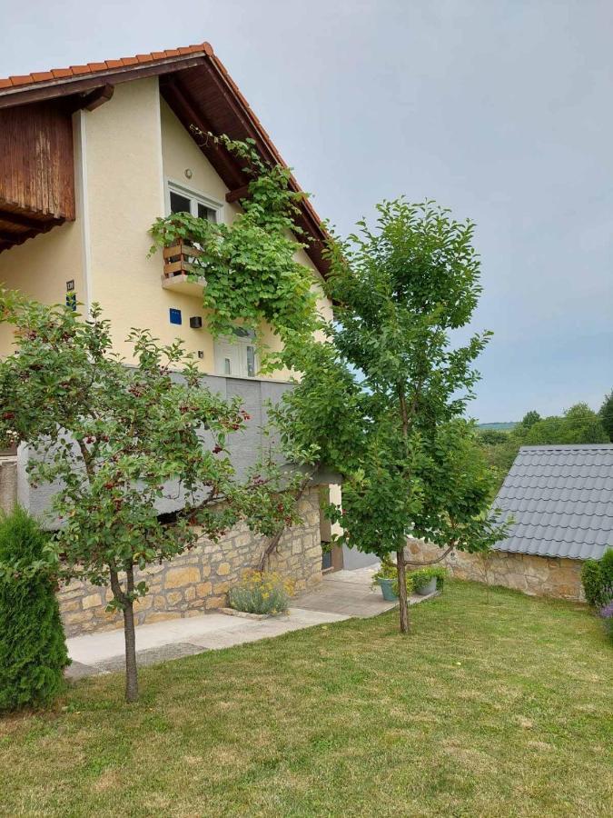 Studio Apartman Hana Leilighet Drežnik Grad Eksteriør bilde