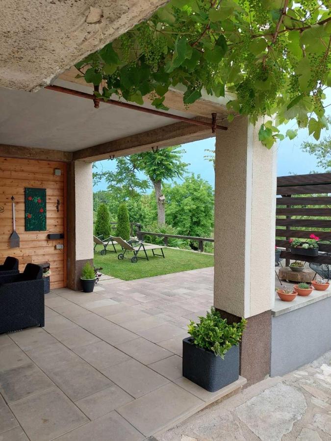 Studio Apartman Hana Leilighet Drežnik Grad Eksteriør bilde